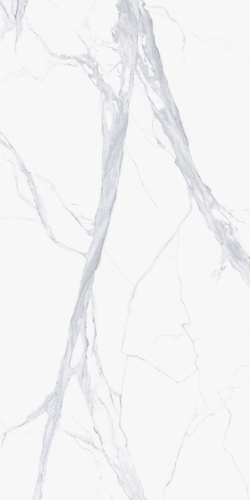 Calacatta Arabescato - Porcelain Panels