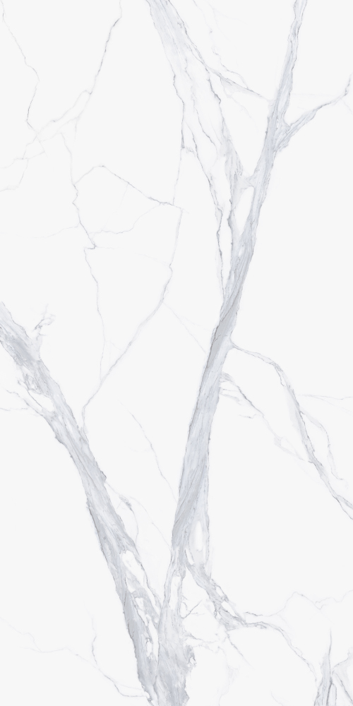 Calacatta Arabescato - Porcelain Panels