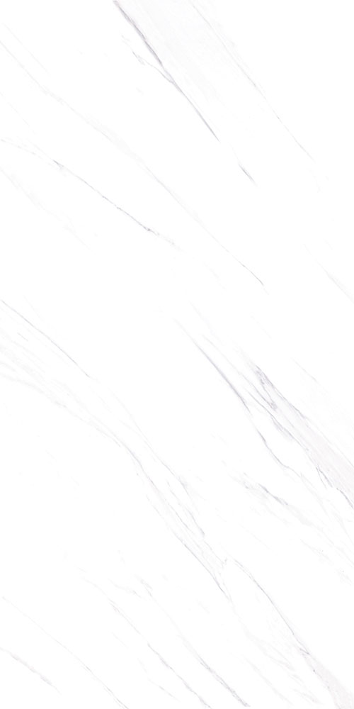 Calcatta White Porcelain Panel