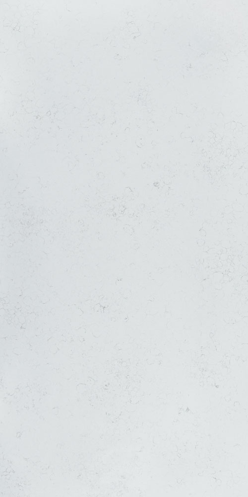 Frosted Carrara - Porcelain Panel